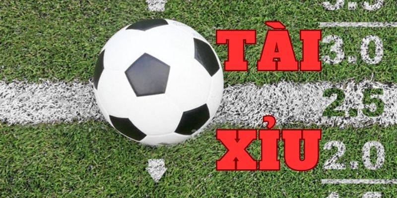 Kèo Tài Xỉu DU88 - Hướng Dẫn Soi Cực Chuẩn Và Thắng Lớn - CAVON