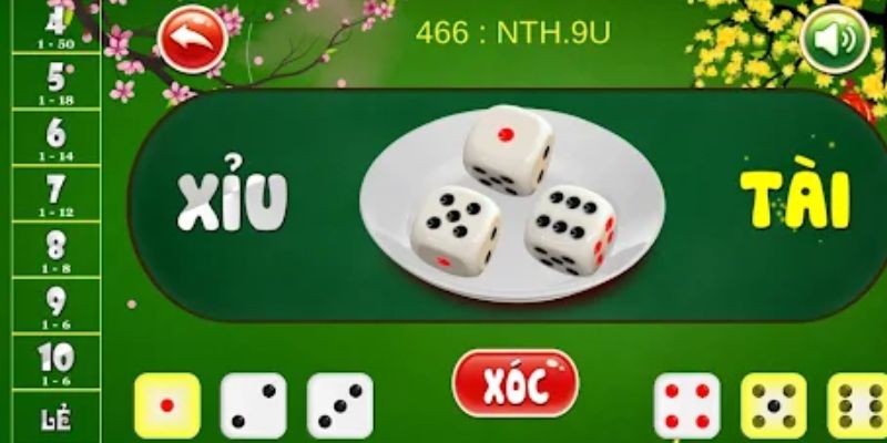 Blog - du88vn.com - CAVON