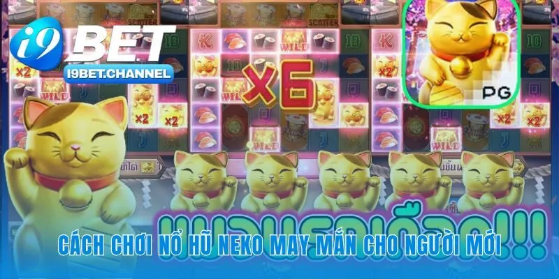 Nổ Hũ Neko May Mắn | Hướng Dẫn Chơi Trên 6 Cuộn Tại i9Bet - CAVON