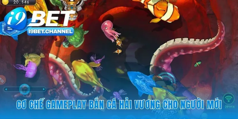 Bắn Cá Hải Vương - Hướng Dẫn 3 Bước Săn Rồng Vàng i9Bet - CAVON