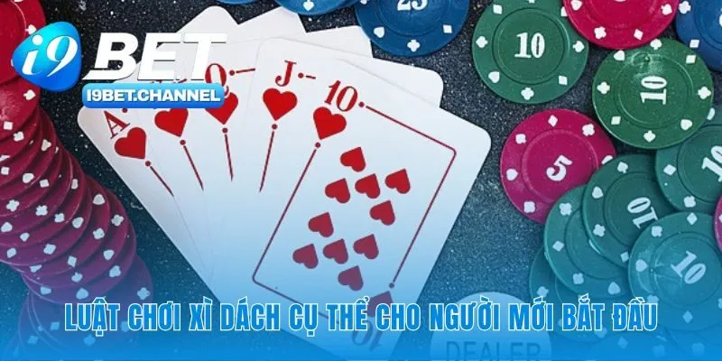 Xì Dách - Hướng Dẫn Luật Chơi 2026 Cho Người Mới | i9Bet - CAVON