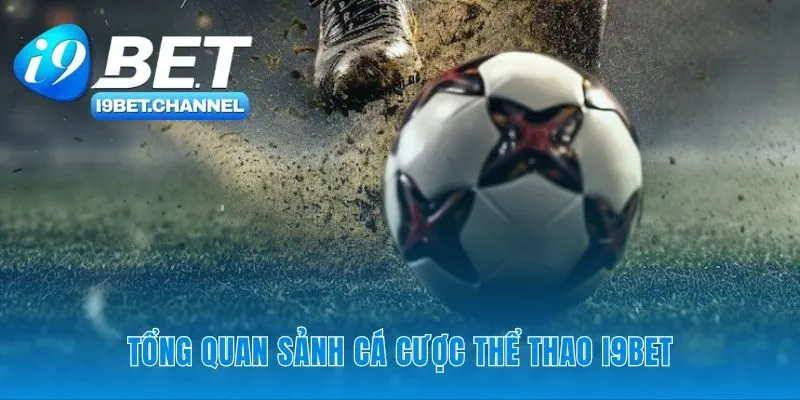 Cá Cược Thể Thao - Sảnh Cược Chuyên Nghiệp i9Bet 2026 - CAVON
