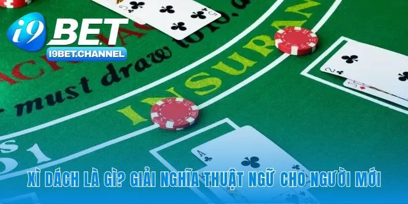 Xì Dách - Hướng Dẫn Luật Chơi 2026 Cho Người Mới | i9Bet - CAVON